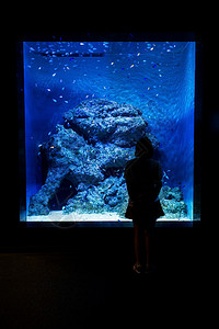 水族馆海上生活外观建筑摄影目的地动物旅行旅游高清图片