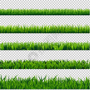 草边框大硒公园植物草地场地叶子园艺墙纸宏观牧场草本植物图片
