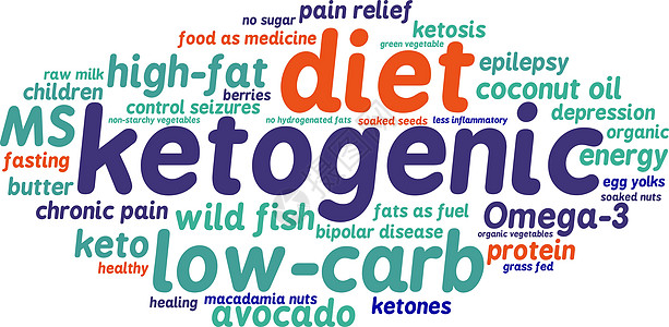 生酮词云癫痫酮症孩子们黄油活力浆果康复脂肪蛋黄蔬菜图片
