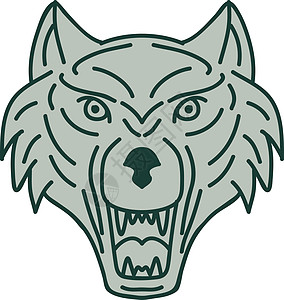 灰狼头单行狼疮捕食者犬类灰狼大灰狼牙齿外观插图绘画重量图片
