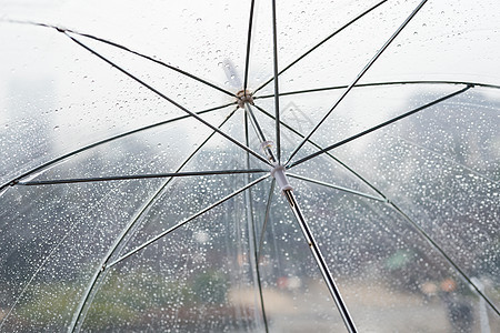 自然背景上的湿透明伞高清图片下载-正版图片503550004-摄图网