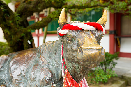 神社的公牛雕像神道财富文化牌匾旅行宗教教育地标奶牛魅力图片