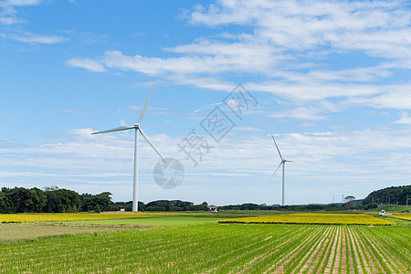 风力涡轮机和阳光明日的田地图片