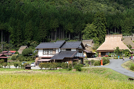 日本京都美山植物茅草建筑旅游家园旅行历史街道房屋森林图片