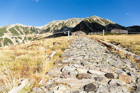 日本塔特山顶峰植物岩石蓝色高地立山路线黑部风景旅行图片