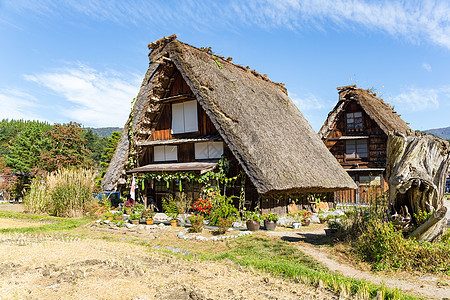 日本白川越村森林历史建筑历史性遗产白川农村村庄房子建筑学图片