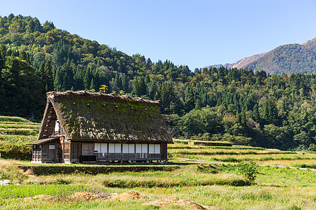 历史悠久的日本村食物农村建筑白川风景木头世界遗产村庄场地图片