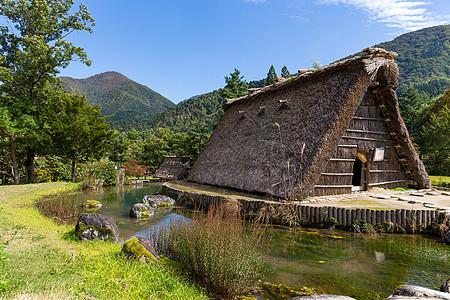 日本白川越村地标文化村庄房子木头建筑学绿色植物旅行稻草建筑图片