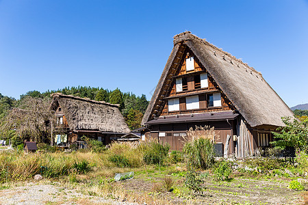 白川戈老村森林热带阳光丛林白川建筑学建筑农场地标房子图片