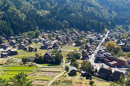 日本白川戈村旅游建筑游客合掌森林遗产世界白川观光房子图片