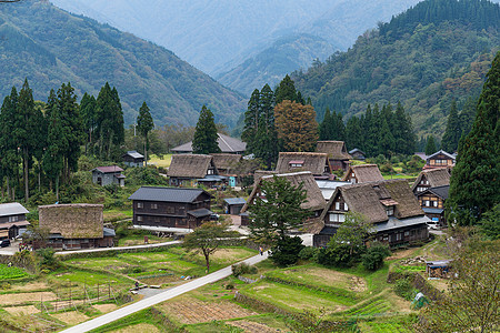 白川果房屋图片