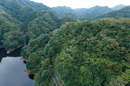 隆金谷天空旅行建筑学地标游客木头黄色植物森林旅游图片