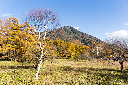 秋秋南泰山图片