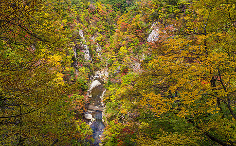 纳鲁科峡的秋天风景图片