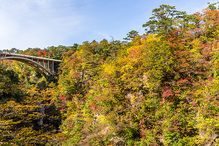 穿越纳鲁科峡谷的桥叶子岩石鸣子橙子森林悬崖季节山沟农村公园图片
