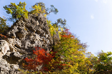 日本中野峡谷岩石山腰农村森林旅行公园旅游风景季节场景图片