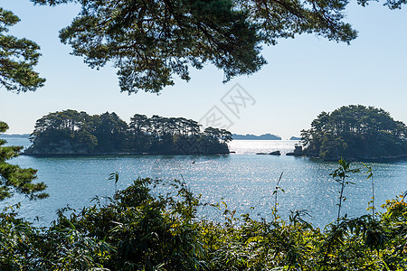 日本 松岛宫城风景土地海洋天空公园海岸旅行地标海景松树图片