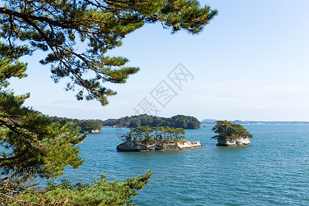 阳光照耀的日本松岛松岛图片
