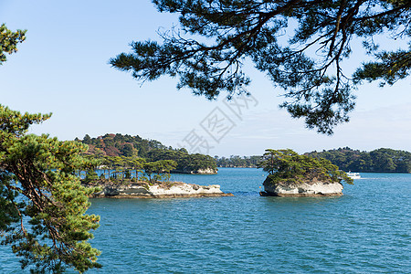 松岛海岸蓝色晴天阳光支撑旅游游客公园天空场景图片