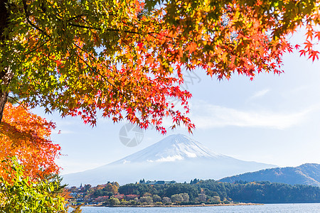 秋天川口湖和富士山旅行季节叶子公吨火山池塘场景红色反射季节性图片