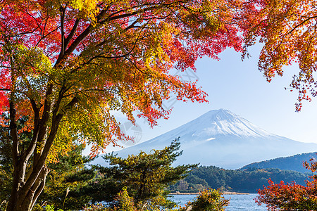 秋天藤山森林天空反射丛林季节旅行地标场景花园公吨图片