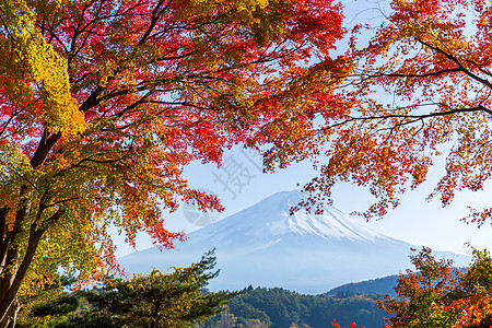 秋天川口ko湖和Fuji山高清图片