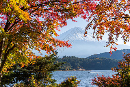 富士山 湖川口子图片