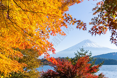 富士山和川口湖图片