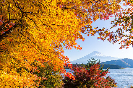 秋天富士山图片