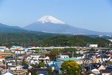 日本静冈的藤山图片