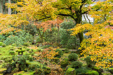 日本寺庙花园文化灯笼雕像岩石季节寺庙木头森林石头晴天图片