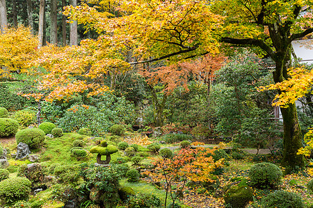 日本花园寺庙植物花园观光灯笼森林文化楼梯石头树叶图片