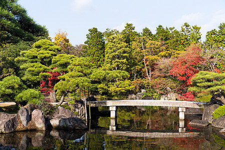 秋天的日本花园城堡旅游松树池塘人行道闲暇江户古园岩石叶子图片