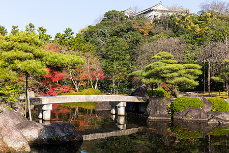 秋天的Kokoen花园红叶岩石文化橙子植物场景池塘石头森林公园图片