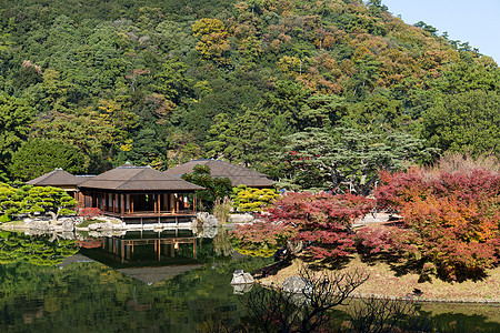 日本传统里草林花园Name房子历史石头池塘建筑公园行人城市板栗木头图片