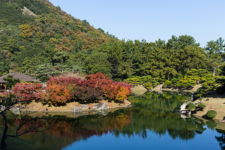 日本里草林花园房子天空城市公园四国天桥植物树叶传统建筑学图片
