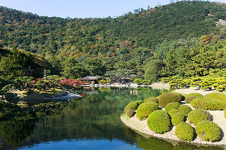 秋天的日本里草林花园文化场景爬坡四国木头公园池塘图片