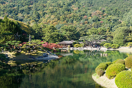 日本传统里草林花园Name环境行人水池天桥树叶建筑学公园文化池塘晴天图片