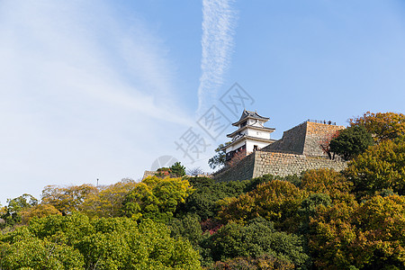 传统马鲁伽梅城堡旅行历史性建筑蓝色旅游建筑学天空地标观光丸龟图片