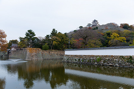 秋天日本马鲁伽美城堡晴天传统历史性喷泉吸引力历史地标观光游客建筑学图片