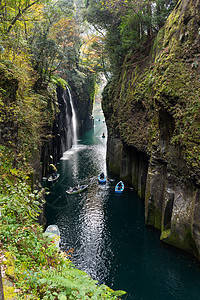 日本高原峡谷黄树叶图片