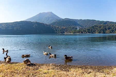 基里岛山 带湖和鸭子图片