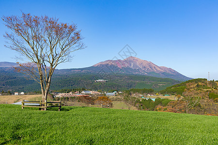 岛山农村农业草地干草场地国家森林植物晴天天空图片