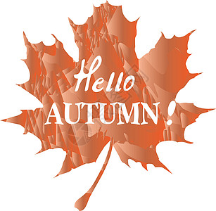 矢量你好秋天白色插图叶子卡片刻字季节季节性橙子创造力刷子图片