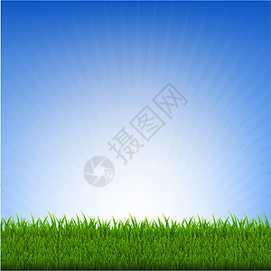 草和天空叶子墙纸蓝色框架草地草本植物场地环境宏观生态图片