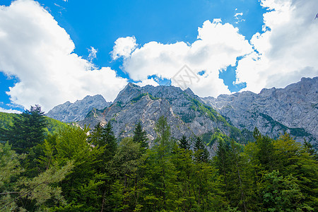 山上美丽的风景 山顶上的云彩和地表的森林爬坡顶峰人行道假期农村土地小路地形远足太阳图片