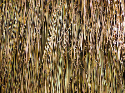 干叶纹理干草堆屋顶森林黄色环境树叶木头棕色季节墙纸植物公园图片