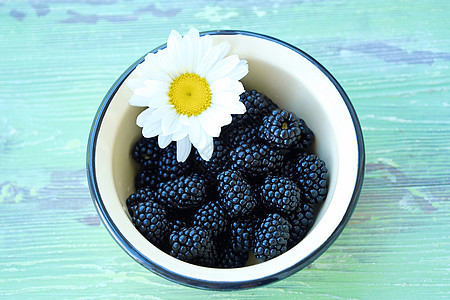 碗里有美味的新鲜黑莓和鲜花白色花朵黄色洋甘菊蓝色浆果图片