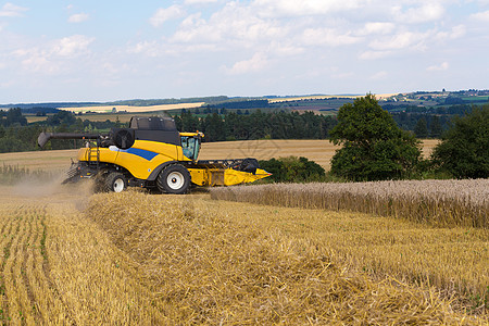 配有自动收割机的夏夏收获小麦农田植物收割机劳动谷物天空面包国家食物图片