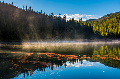雾从山上的森林湖中升起图片